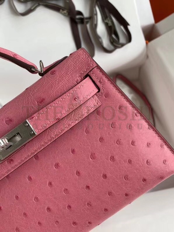 H**me5 Terre Cutie Ostrich Kelly Mini II Handmade Bag Master Quality