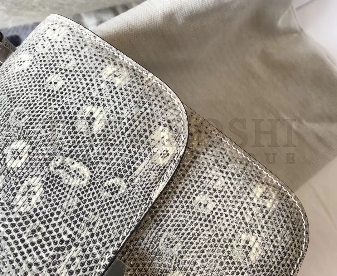 H**me5 Constance 18cm Bag In Ombre Embossed Natural Lizard Master Quality