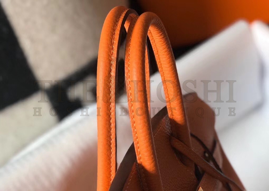 H**me5 Birkin 25 Bag In Orange Clemence Leather with GHW Master Quality