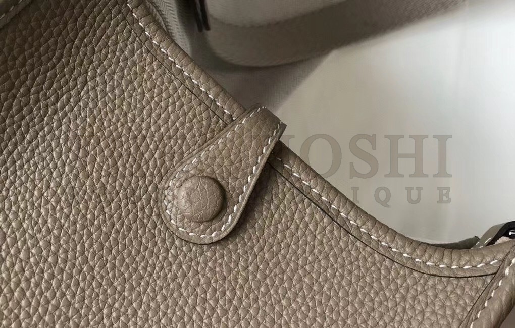 H**me5 Evelyne III TPM Bag In Tourterelle Clemence Leather Master Quality