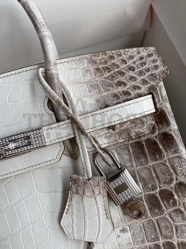 H**me5 Birkin 25 D1am0nd Bag In Himalaya Niloticus Crocodile Skin Master Quality