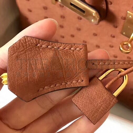 H**me5 Brown Birkin 30cm Ostrich Handmade Bag Master Quality