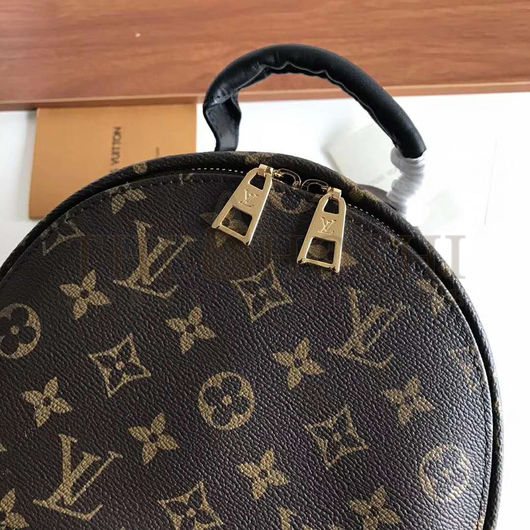 L0vis Vvtt0n LV Unisex Palm Springs PM Backpack in Monogram Coated Canvas-Brown Master Quality