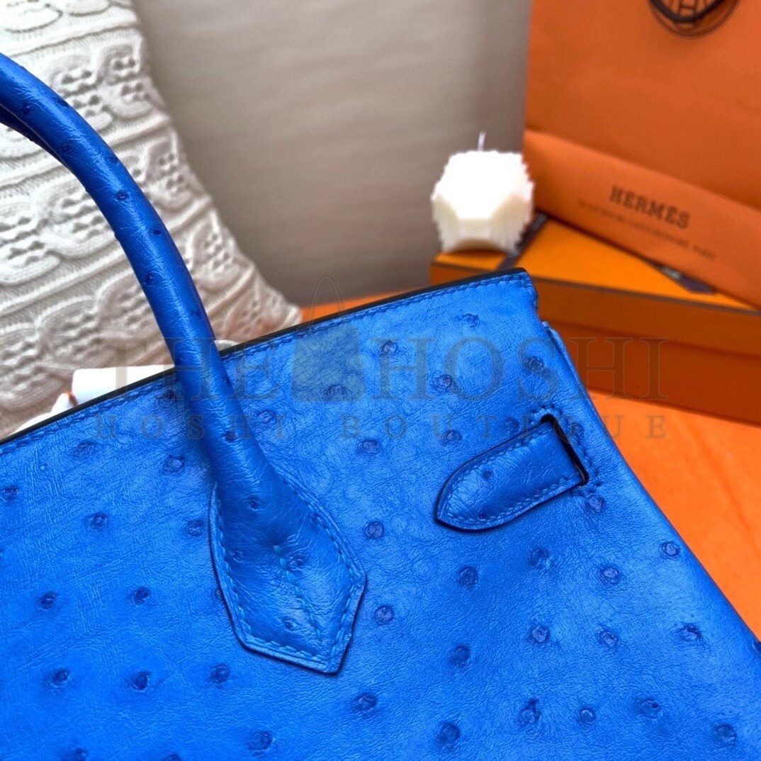 H**me5 Blue Zellige Birkin 30cm Ostrich Handmade Bag Master Quality
