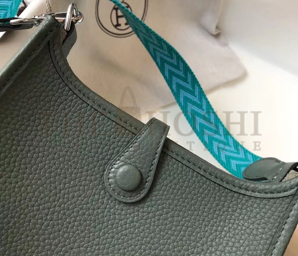 H**me5 Evelyne III TPM Bag In Vert Amande Clemence Leather Master Quality
